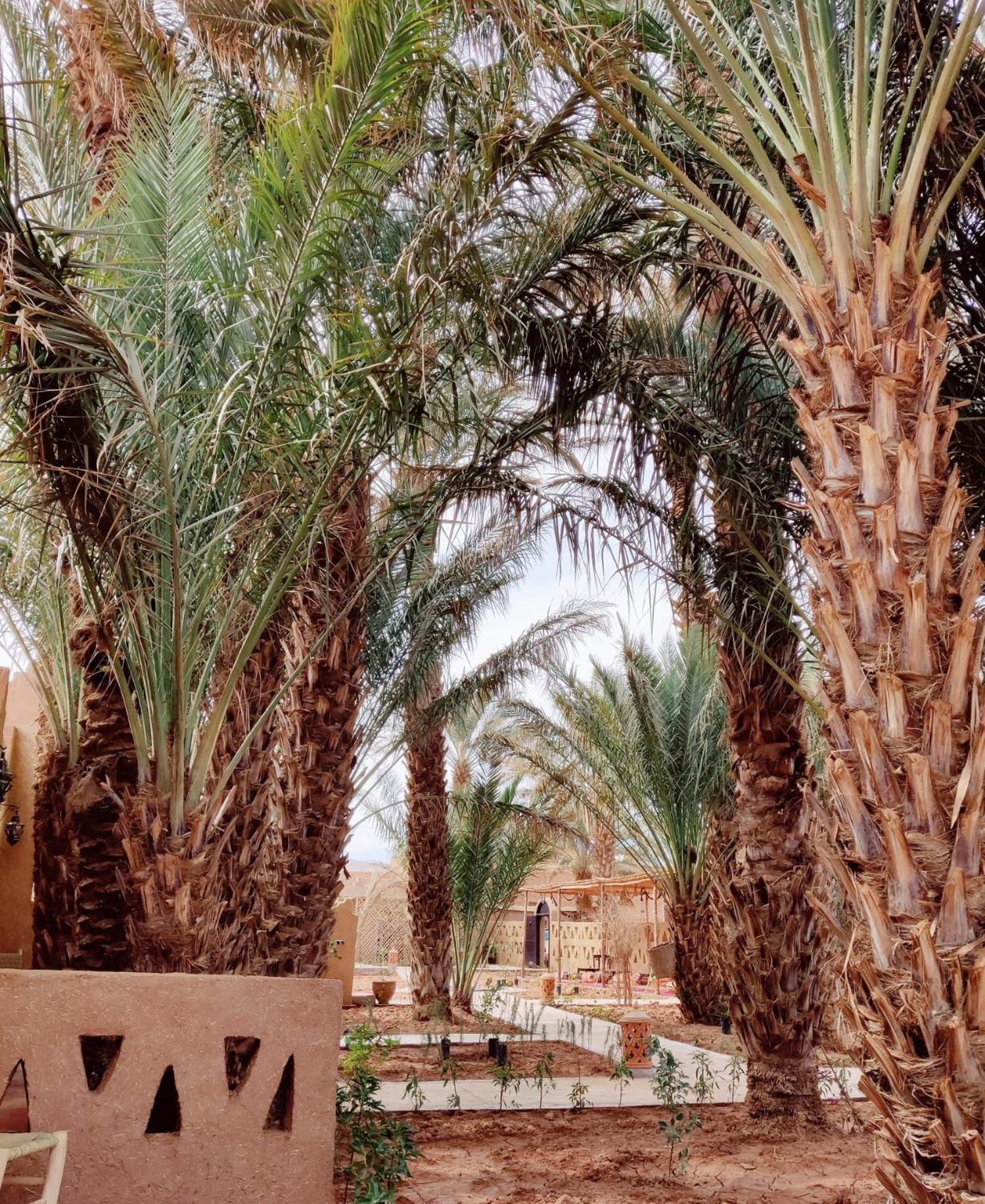 Zagora Oasis Lodge Exteriör bild